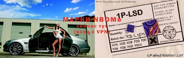 прущие крисы Вязьма